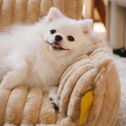 Fluffy Orthopaedic Soft Sofa Bed For Dogs- Snoozy Dream