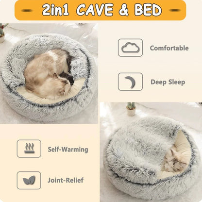 Calming Cozy Cave